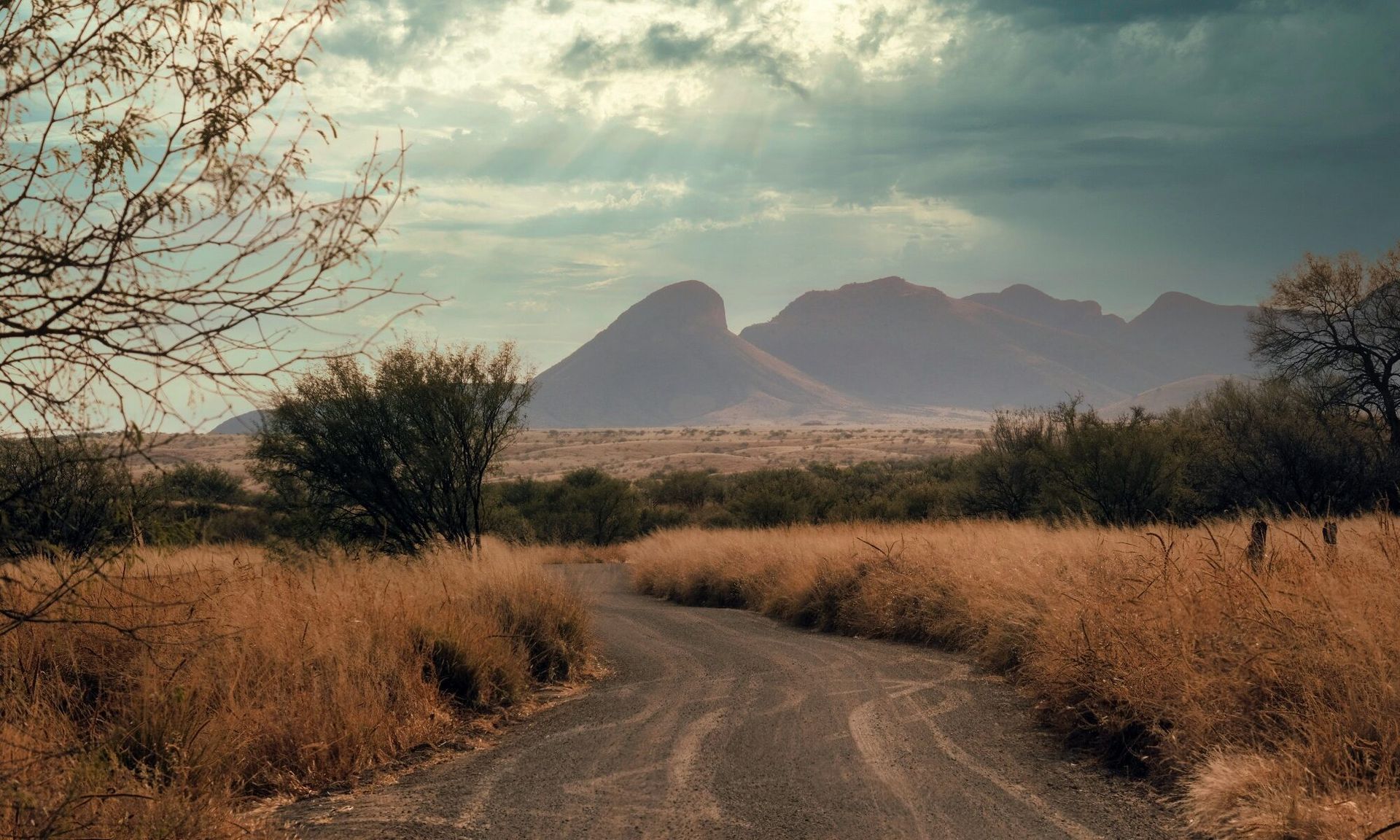 A dirt road going through a field with mountains in the background