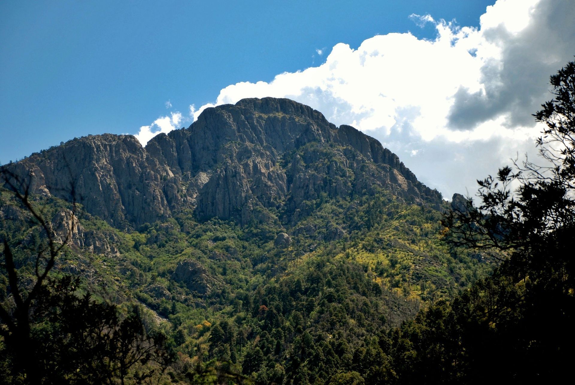 A mountain covered in trees with a blue sky in the background