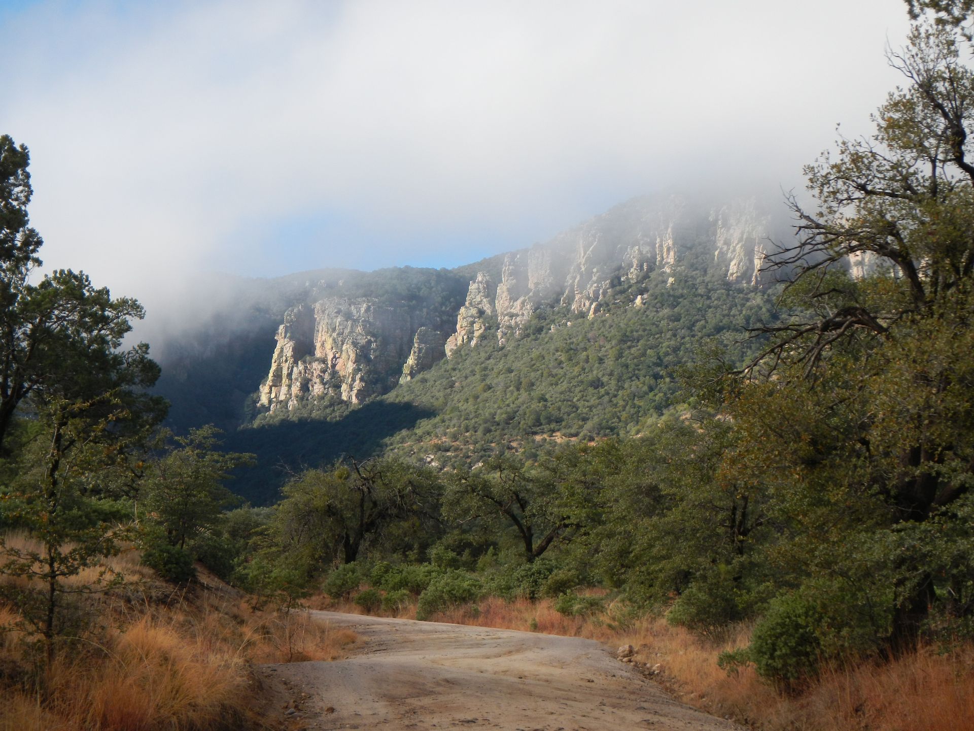 A dirt road leads to a mountain covered in fog