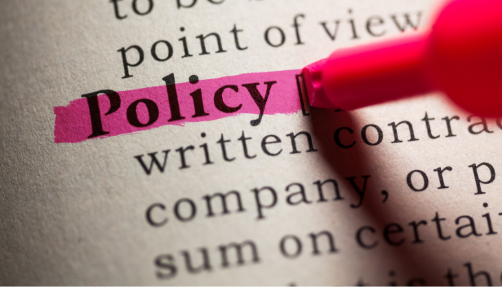 the word policy highlighted in pink