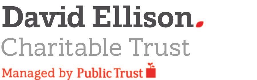 The logo for david ellison charitable trust managed by public trust