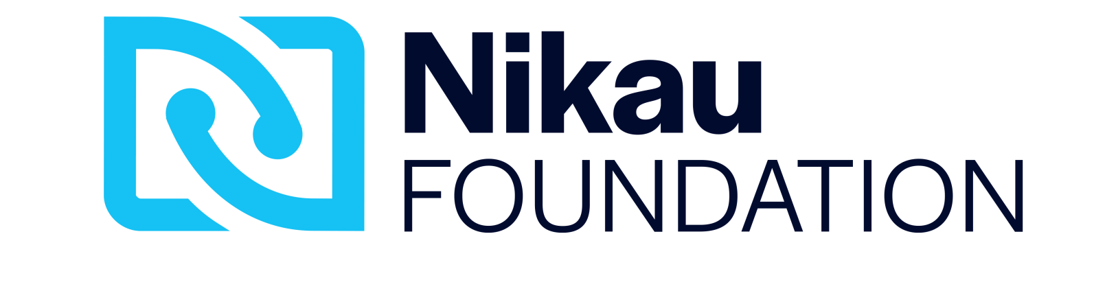 The nikau foundation logo is blue and black on a white background.