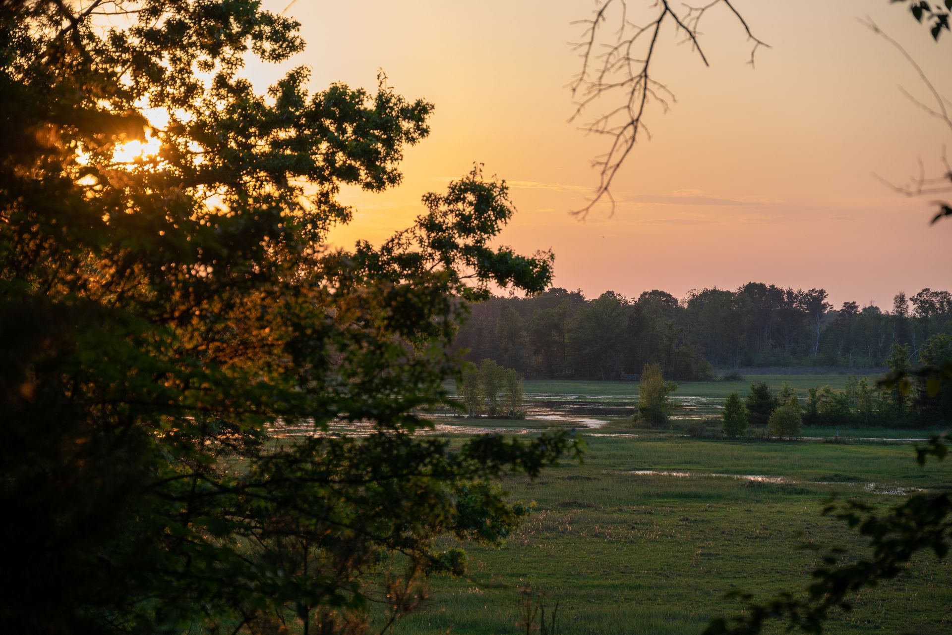 Golden sunset light shines through silhouetted trees overlooking a grassy meadow and a small winding stream.