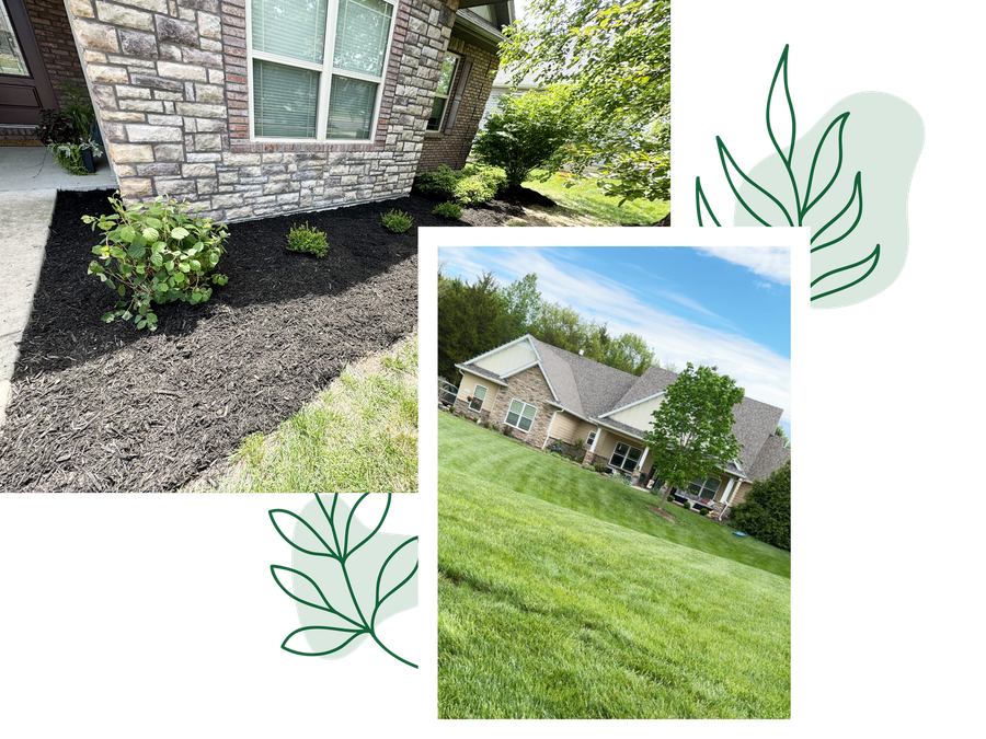 At Elite Outdoor Solutions, We’ll Make Sure Your Mid-Missouri Lawn Is in Tip-Top Shape!