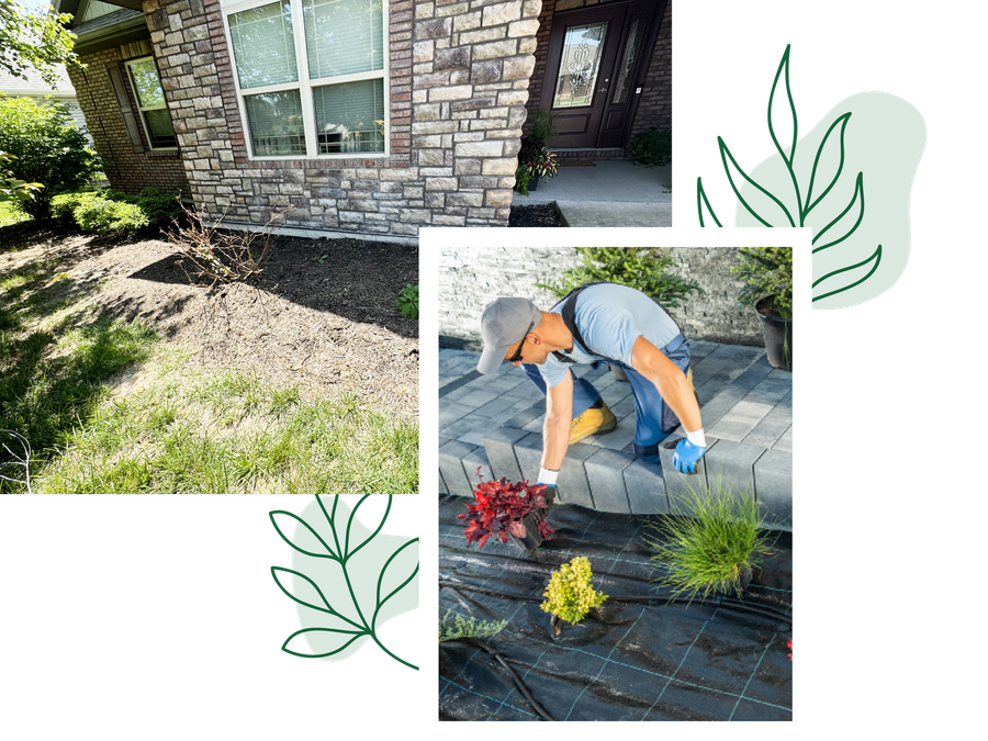 At Elite Outdoor Solutions, We’ll Make Sure Your Mid-Missouri Lawn Is in Tip-Top Shape!