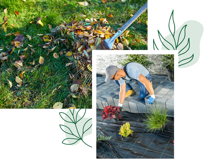 At Elite Outdoor Solutions, We’ll Make Sure Your Mid-Missouri Lawn Is in Tip-Top Shape!