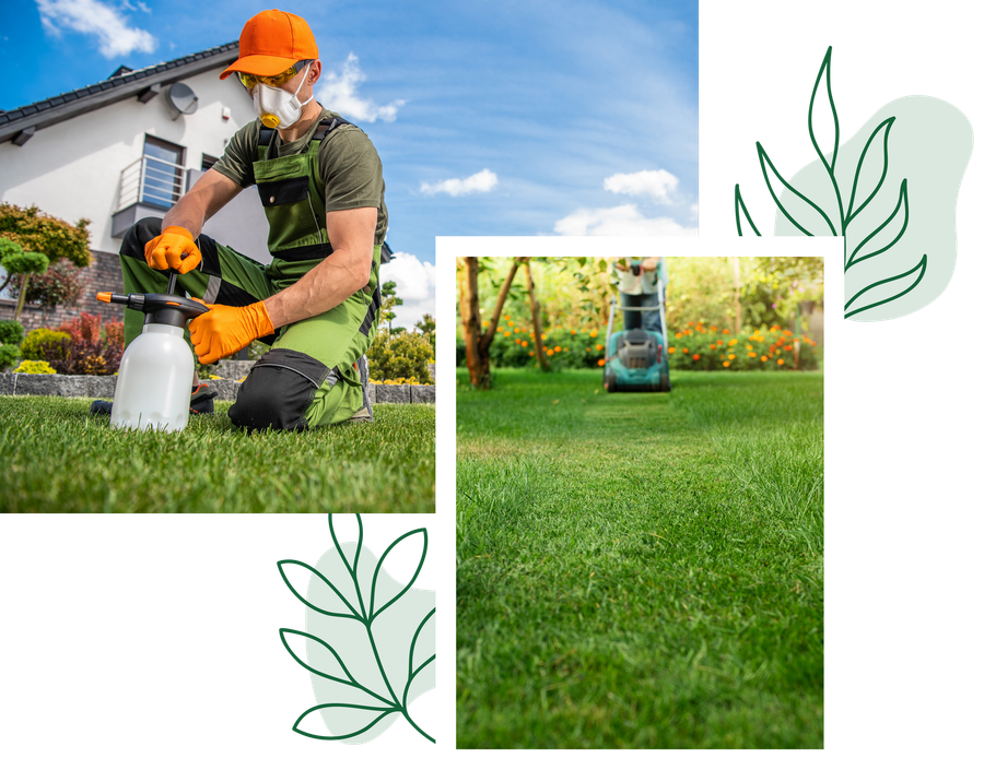 At Elite Outdoor Solutions, We’ll Make Sure Your Mid-Missouri Lawn Is in Tip-Top Shape!