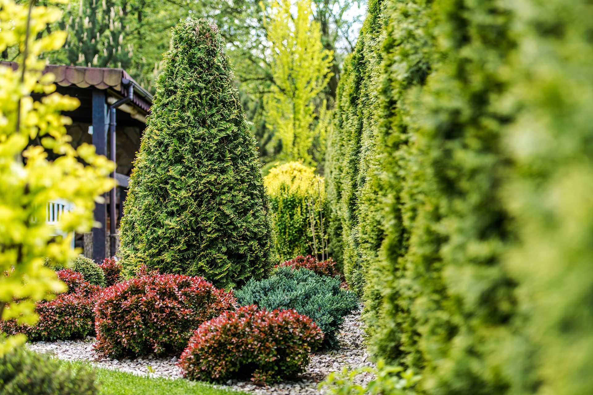 Learn About Sustainable Landscaping for Your Columbia, MO Lawn With Elite Outdoor Solutions!