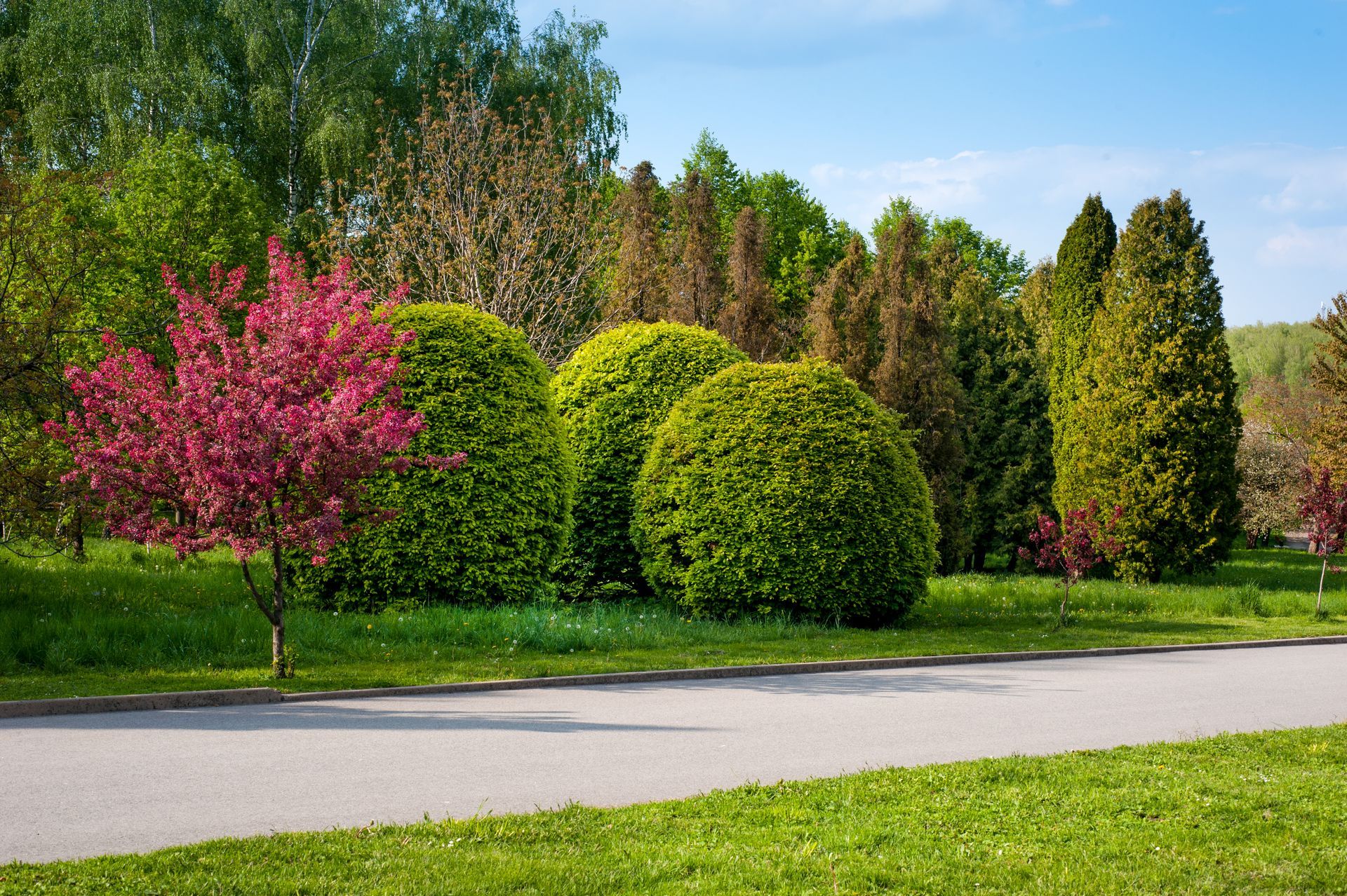 Elite Outdoor Solutions Always Goes the Extra Mile With Shrub Care in Columbia, MO.