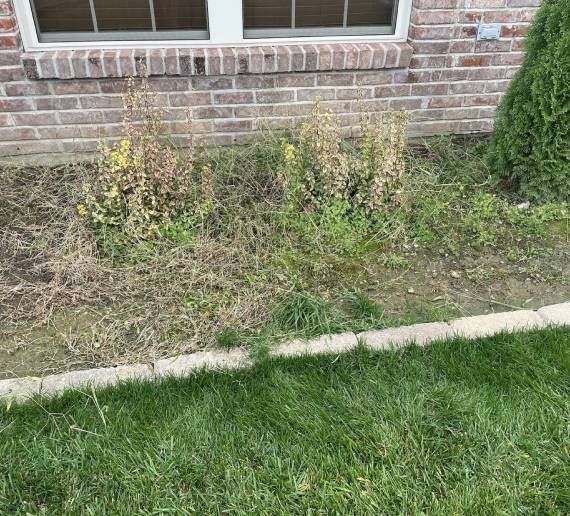 Take Care of Your Plant Life in Columbia, MO With Elite Outdoor Solutions.