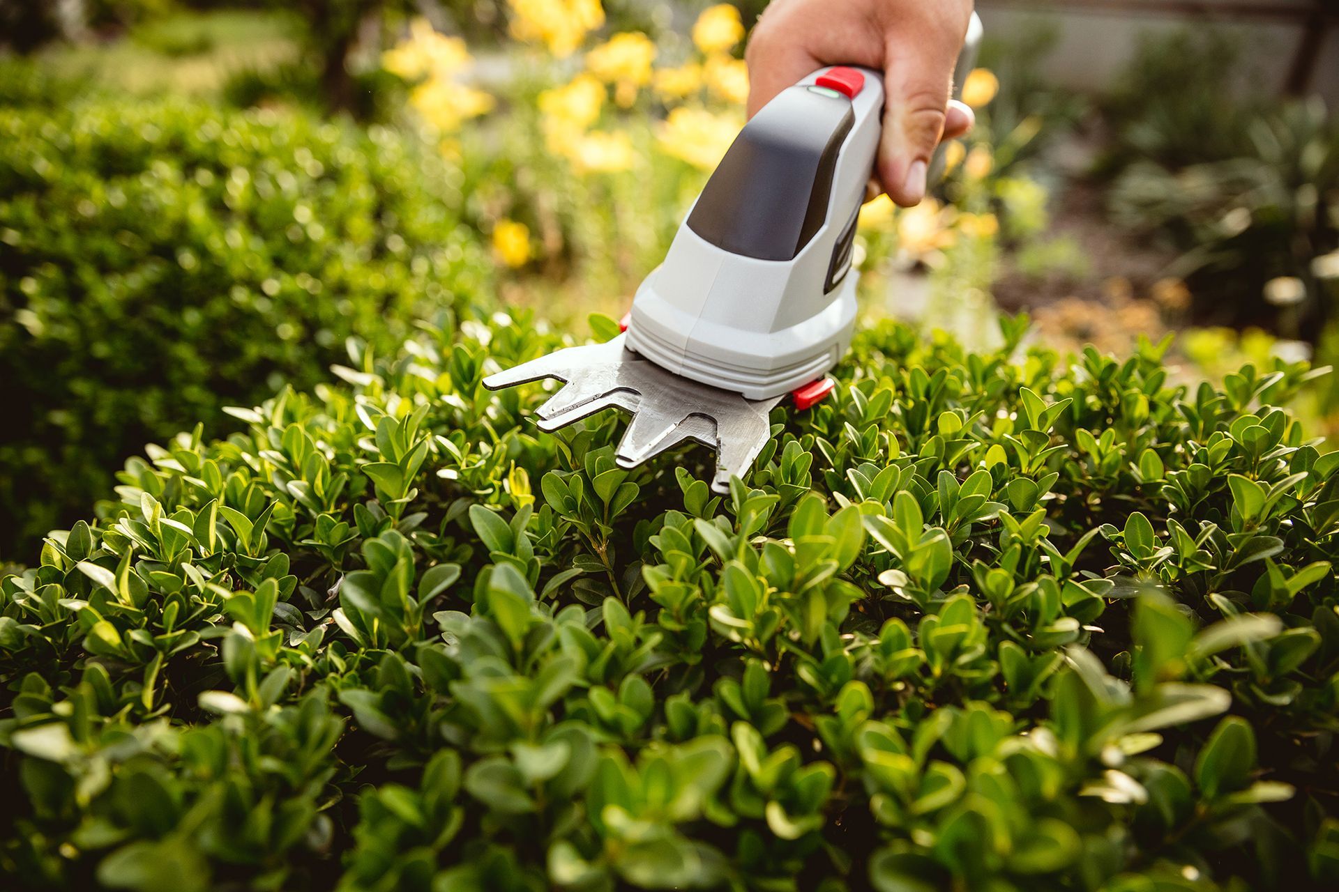 Help Your Lawn Look Great With These Tips From Elite Outdoor Solutions in Columbia, MO!