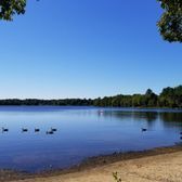 Calm lake under a blue sky, with ducks near the shore and sandy beach in the foreground