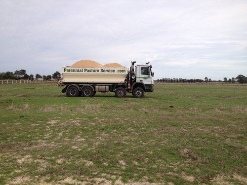 truck in pasture