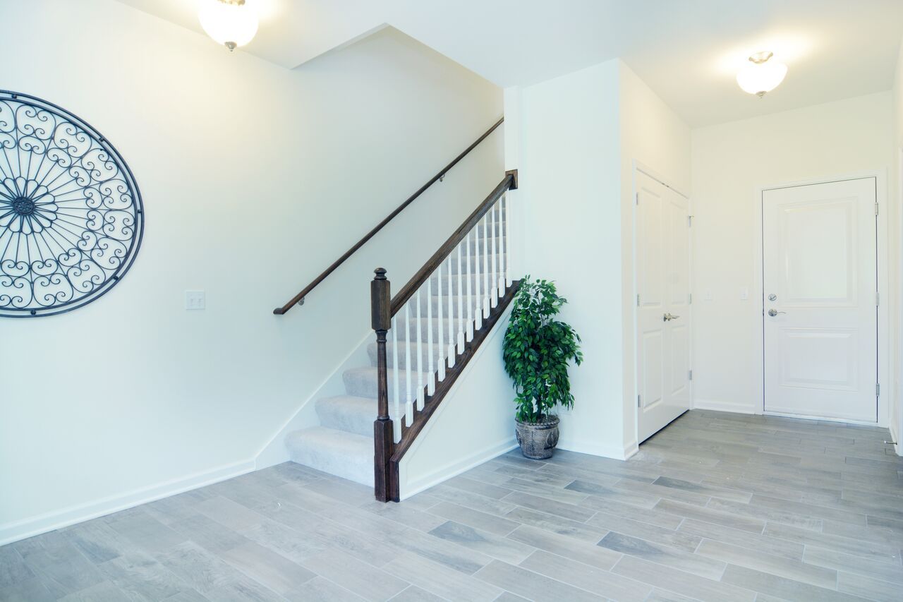 A hallway with stairs and a plant on the floor