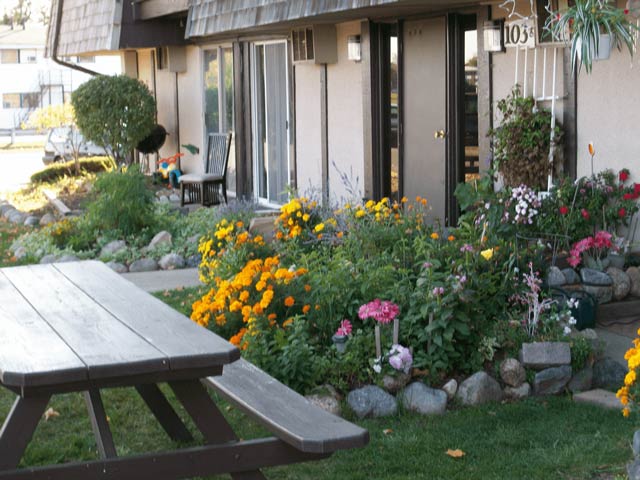 Garden and picnic table