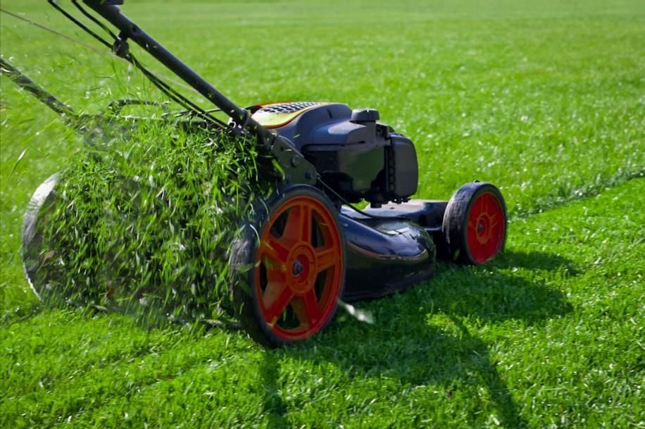 A lawn mower is cutting a lush green lawn.