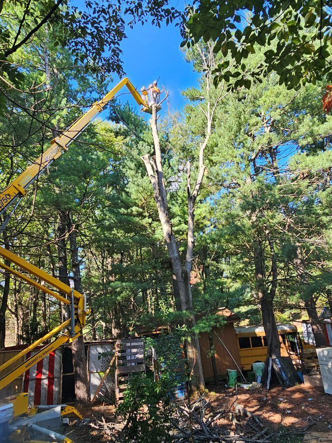 Removing tree using yellow crane — Cross Junction, VA — Smelser's Tree Service LLC
