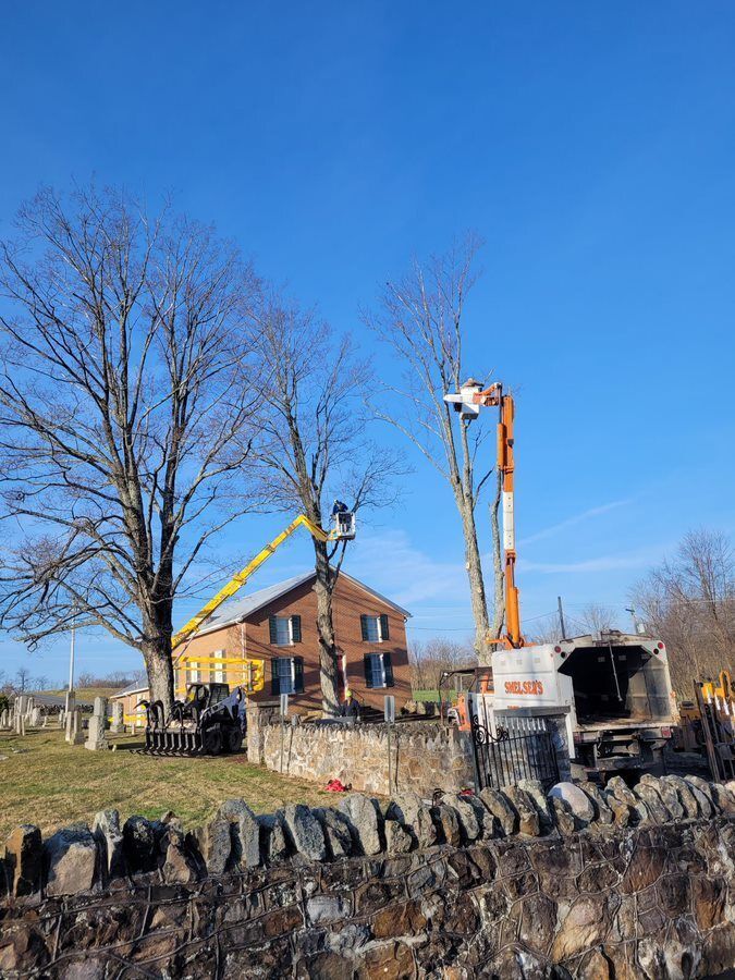 Tree Removal — Cross Junction, VA — Smelser's Tree Service LLC