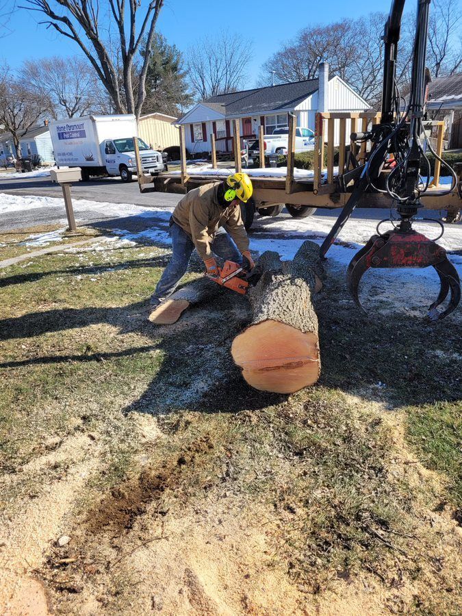 Cutting a large log with a chainsaw — Cross Junction, VA — Smelser's Tree Service LLC