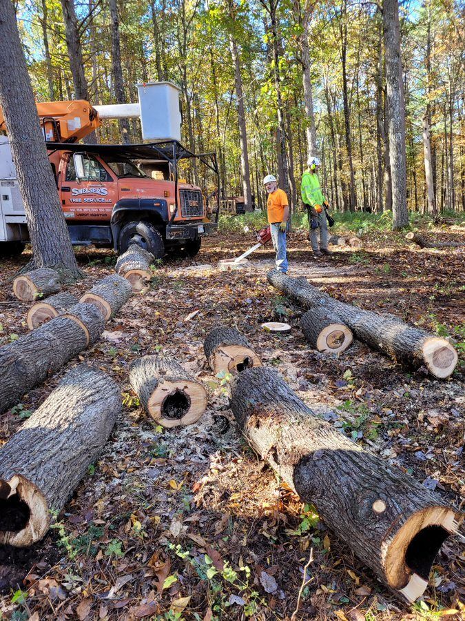 Logs — Cross Junction, VA — Smelser's Tree Service LLC