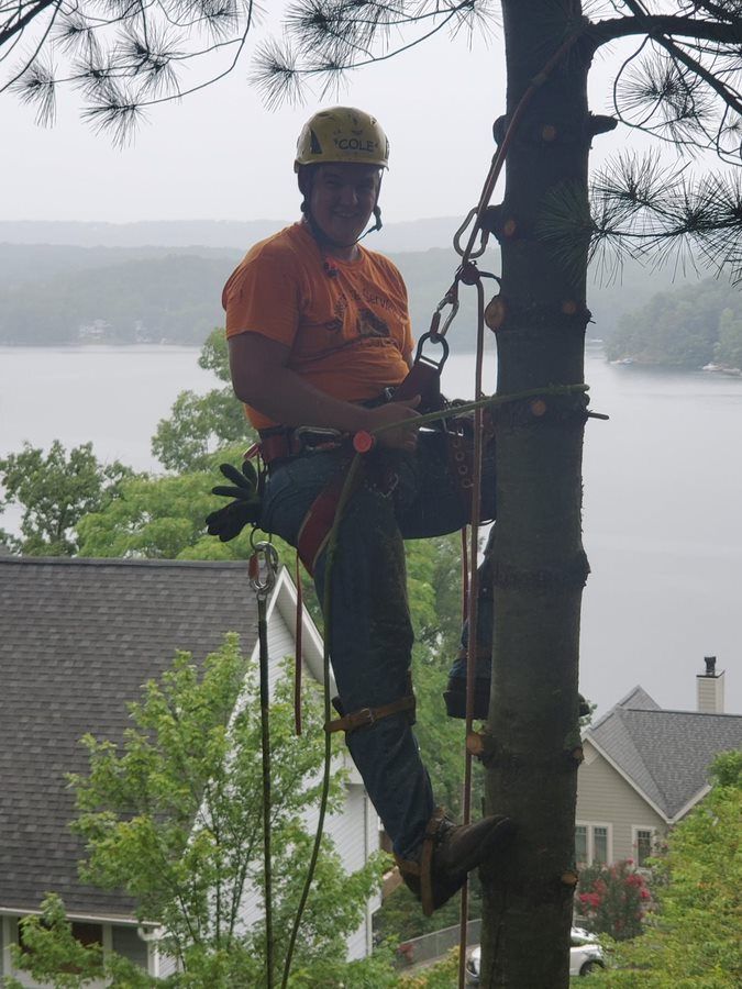Man climbing a tree — Cross Junction, VA — Smelser's Tree Service LLC