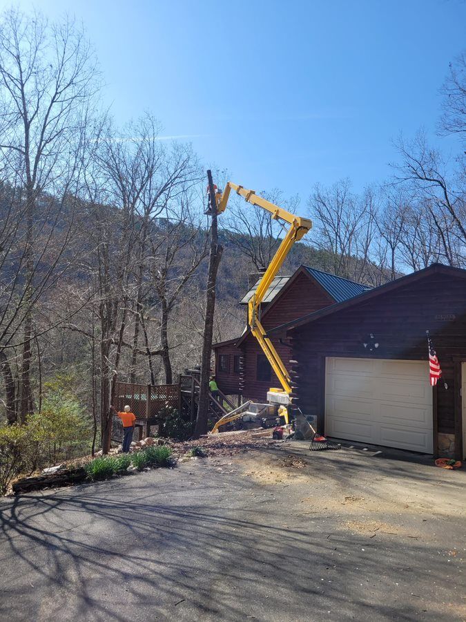 Cutting tree using crane — Cross Junction, VA — Smelser's Tree Service LLC