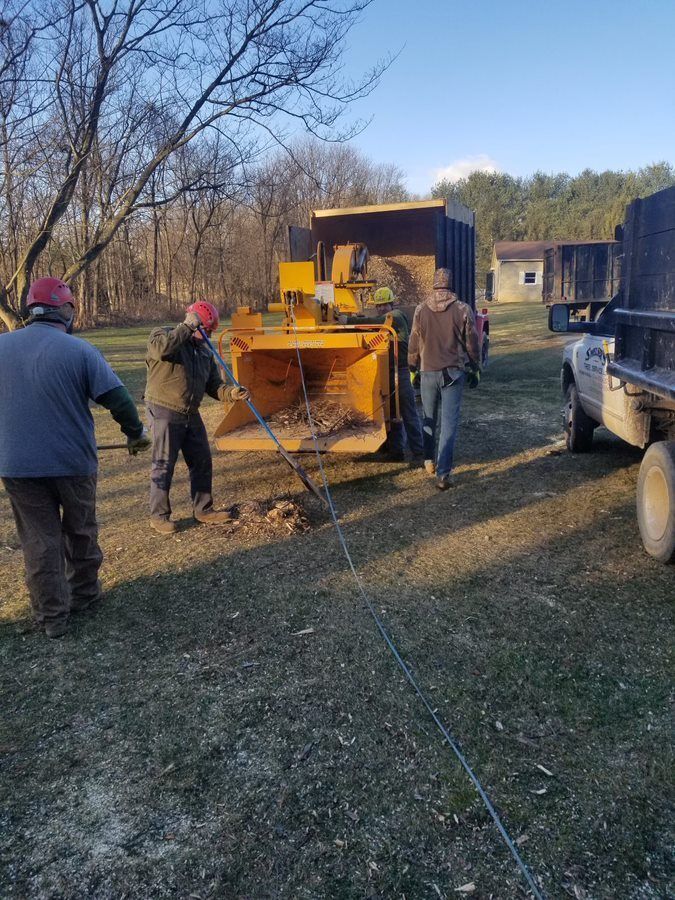 Storm Cleanup Services — Cross Junction, VA — Smelser's Tree Service LLC