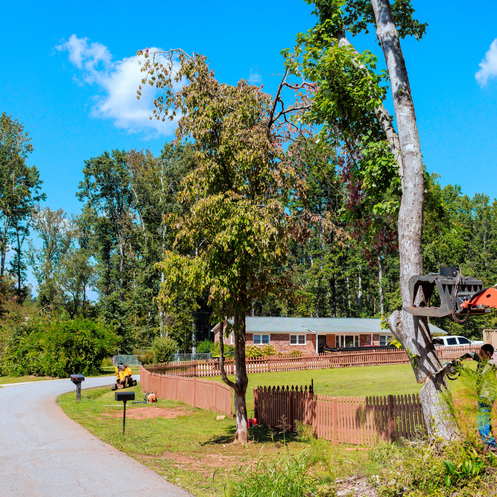 Quiet Austin TX neighborhood street with mature trees and residential home