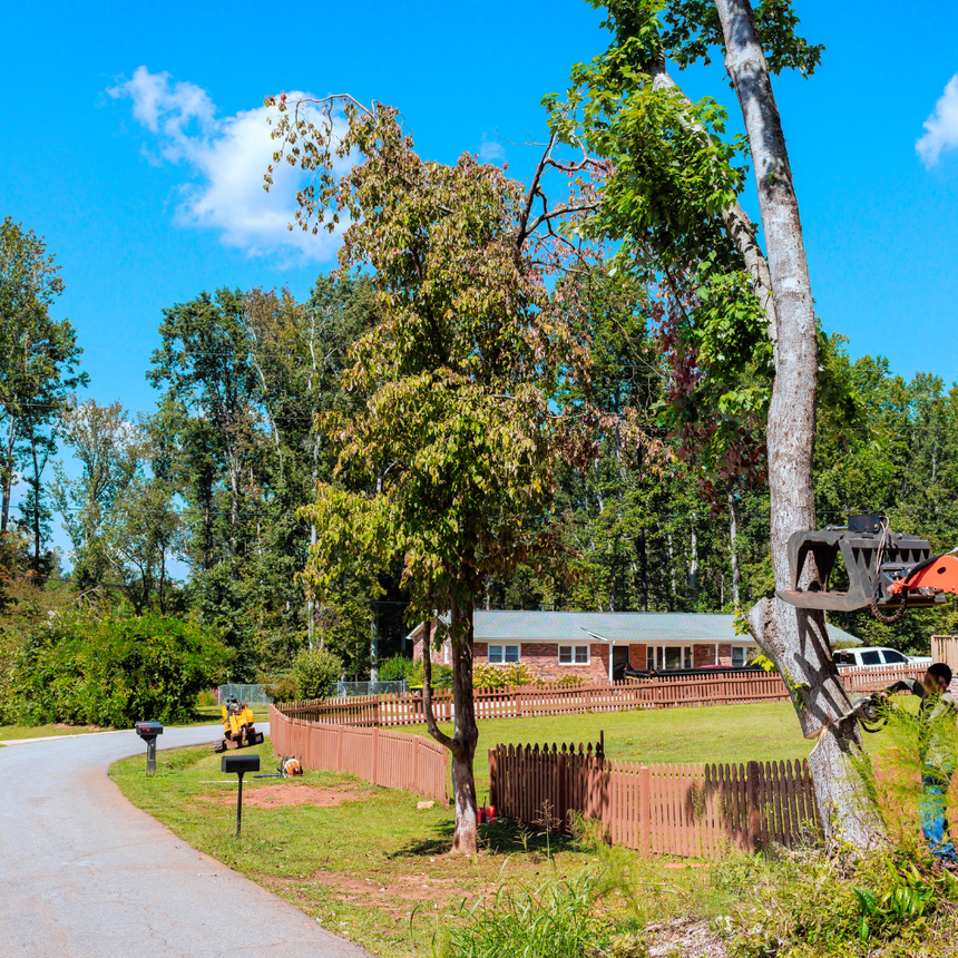 Quiet suburban street with a brick house, wooden fence, tall trees, and a yellow mailbox under a blue sky