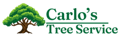 Carlo’s Tree Service logo with a green tree and brown trunk on a white background