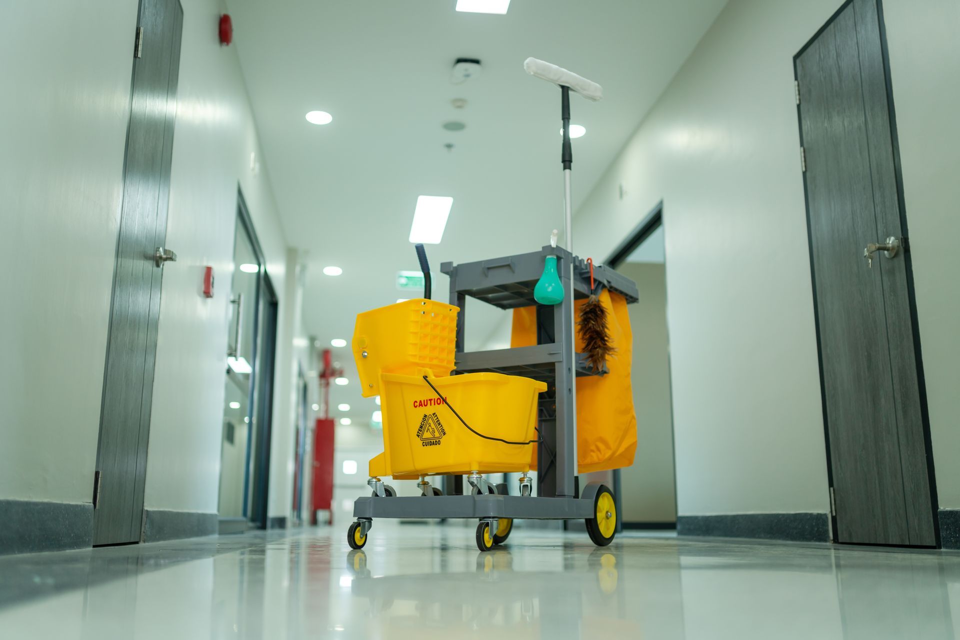 Cleaning cart in a brightly lit hallway, with two yellow buckets and mop.