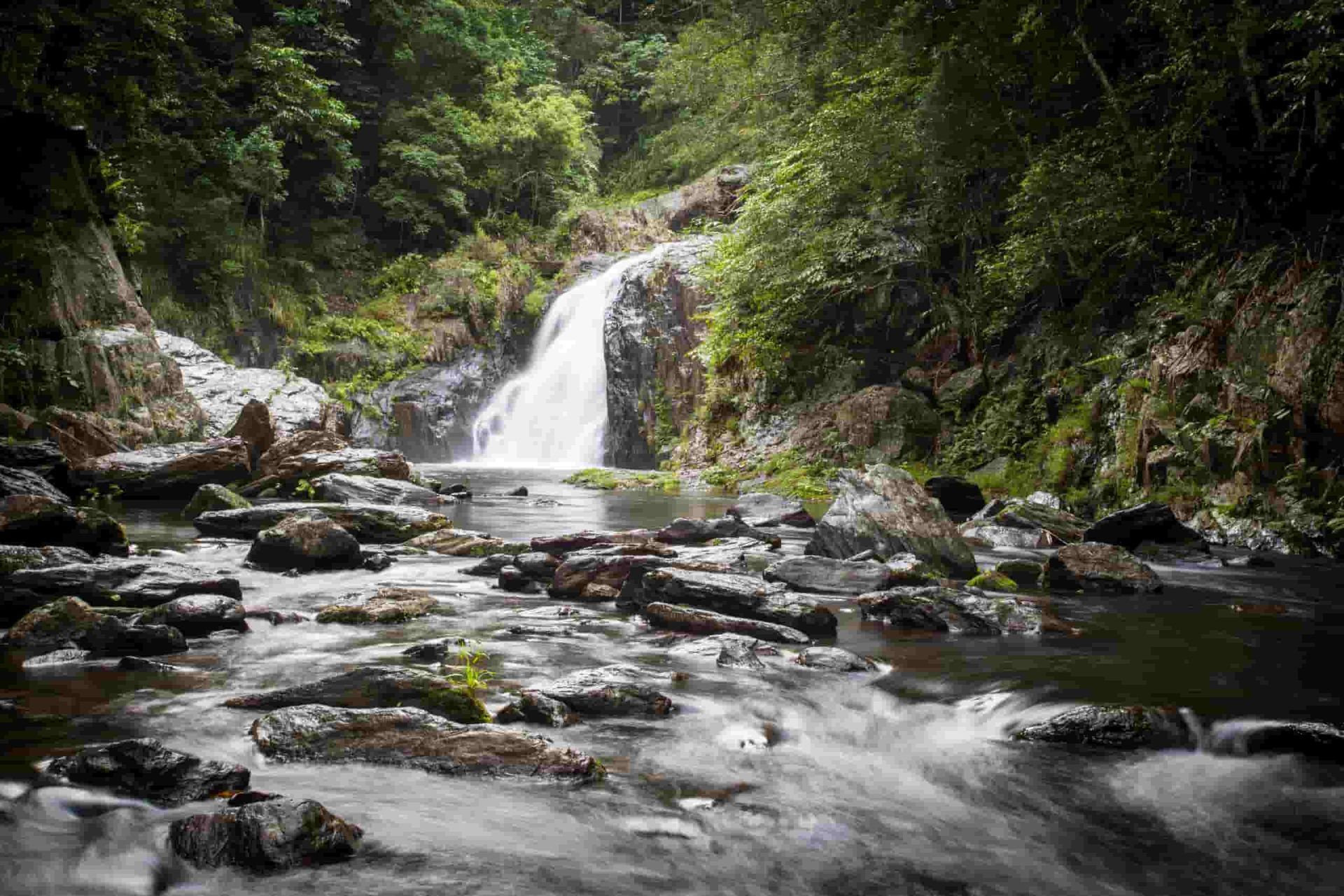 A Waterfall is Surrounded by Trees and Rocks in the Middle of a River — GNQ Removals–Transport–Storage In Redlynch, QLD