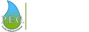 Paradise Environmental Group
