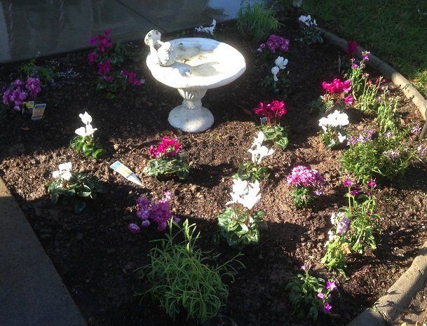 A bird bath is in the middle of a garden surrounded by flowers.