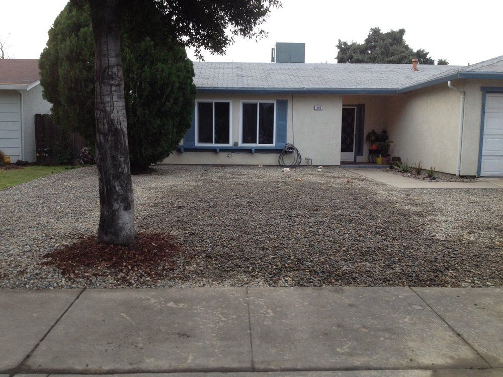 A house with a tree in front of it