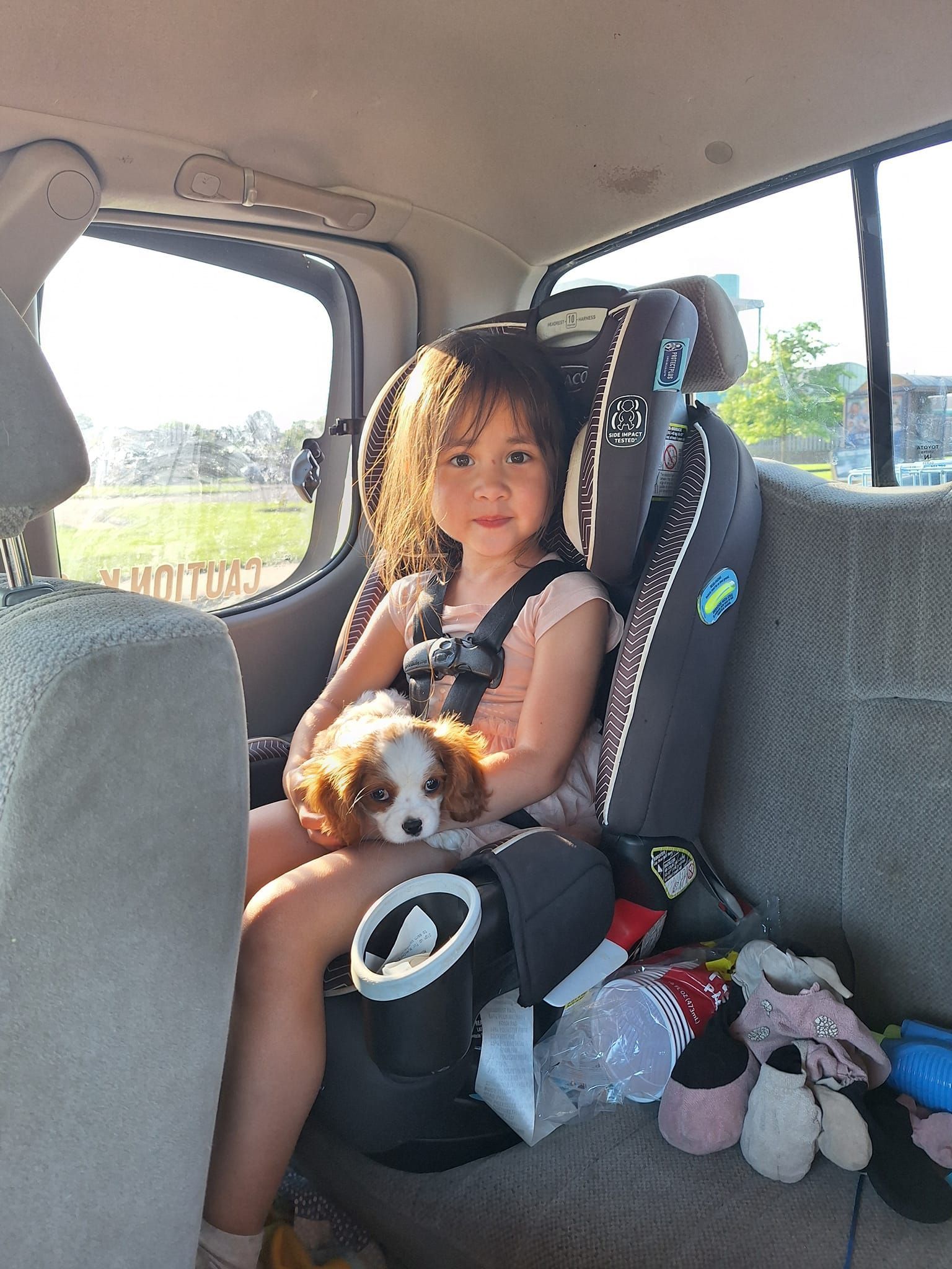 A Little Girl is Sitting in a Car Seat Holding a Puppy | Springfield, MO | MMK9