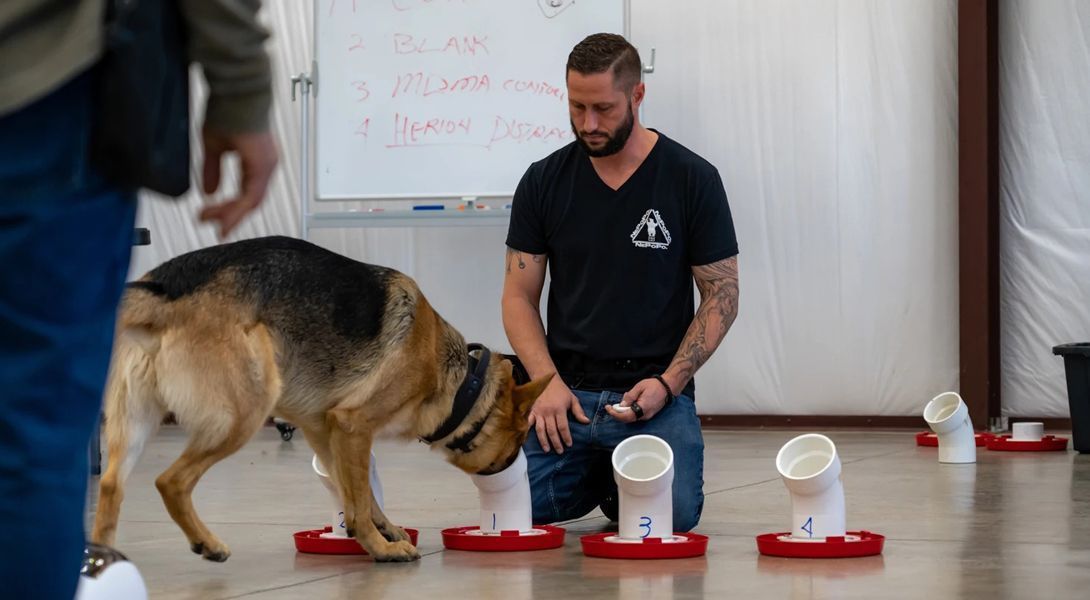 A man is standing in a living room talking to a group of people sitting on couches.