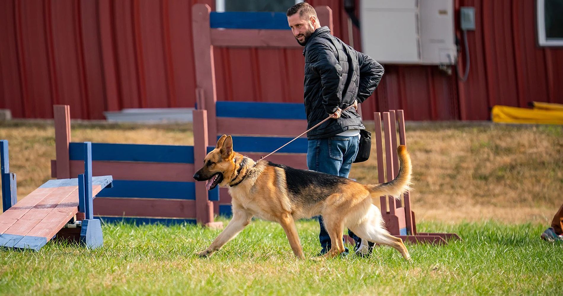 A man is walking a german shepherd dog on a leash.