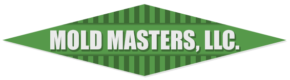Mold Masters LLC