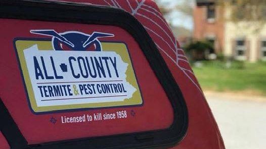 Lancaster Pa Pest Control Solutions | All County Termite & Pest Control