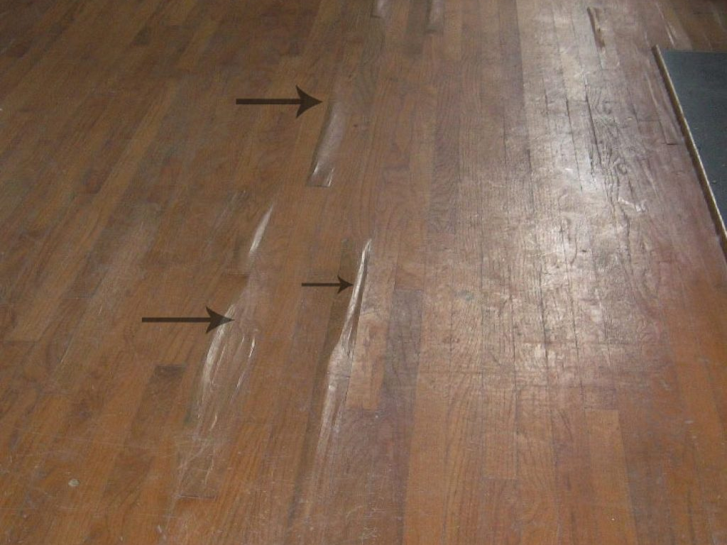 Termite damage in wood floor