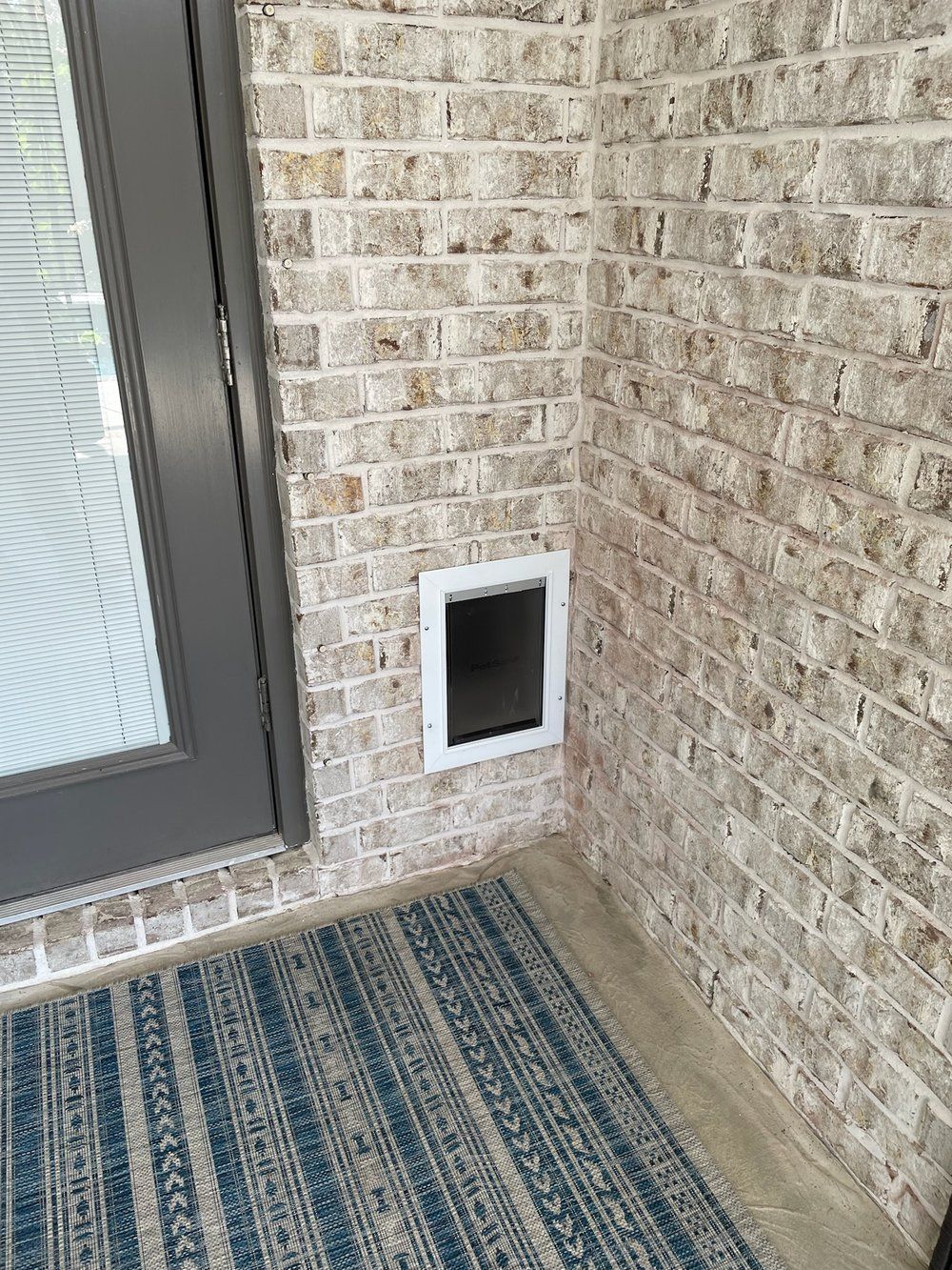 Doggy Door 1