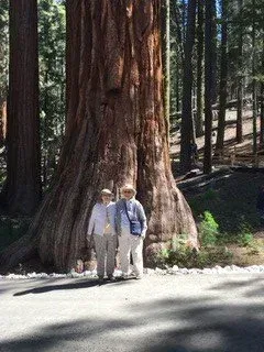 Two people standing next to a giant redwood tree in a forest, sunny day.