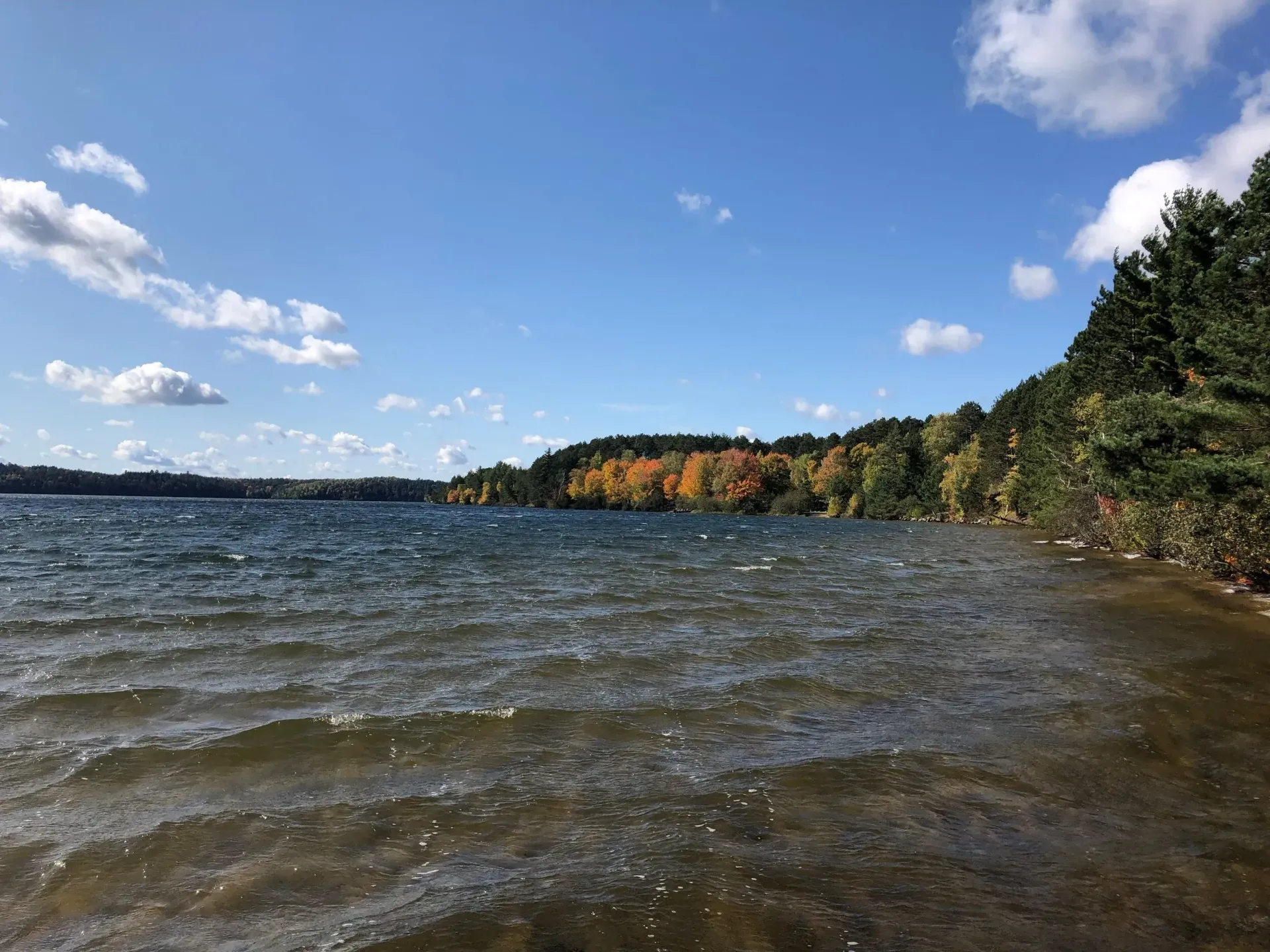 Wavy lake with blue sky and scattered clouds, autumn trees on a distant shore.