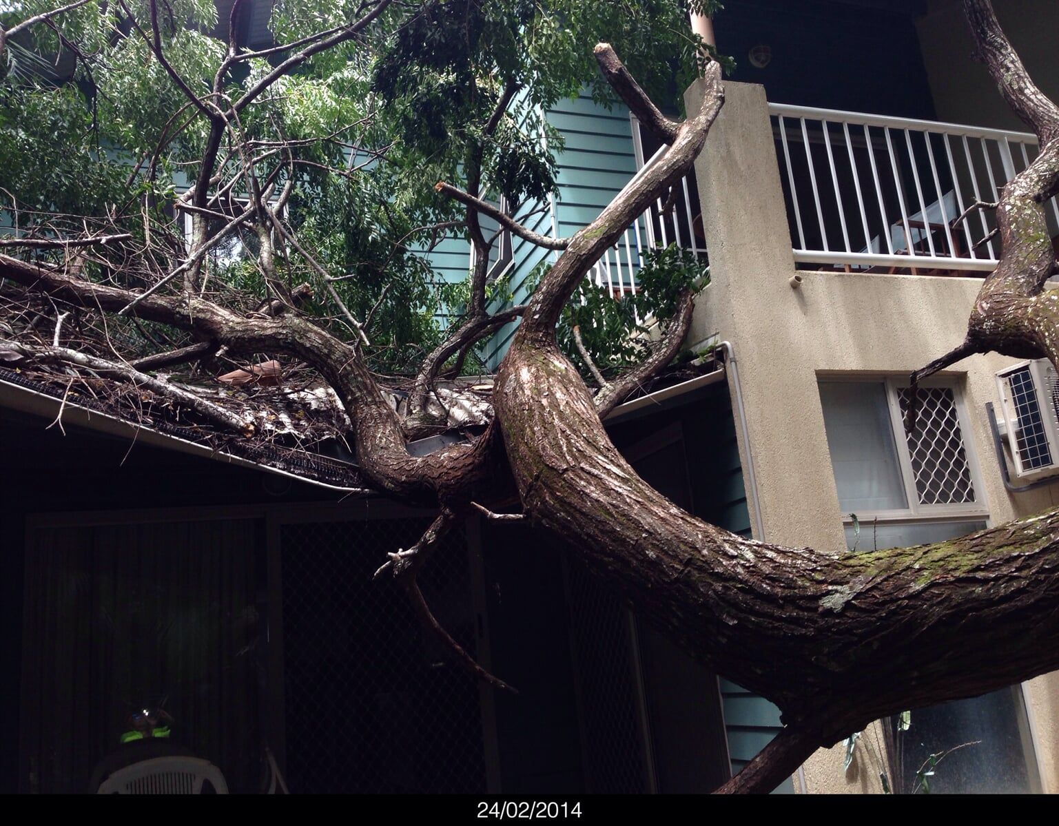 Emergency Services — Tree Removal in Yorkeys Knob, QLD