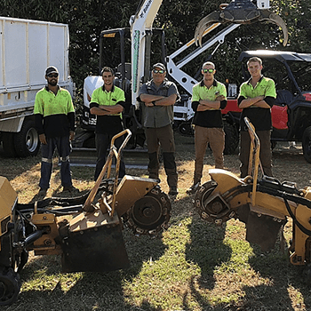 Tree Grinding — Tree Removal in Yorkeys Knob, QLD
