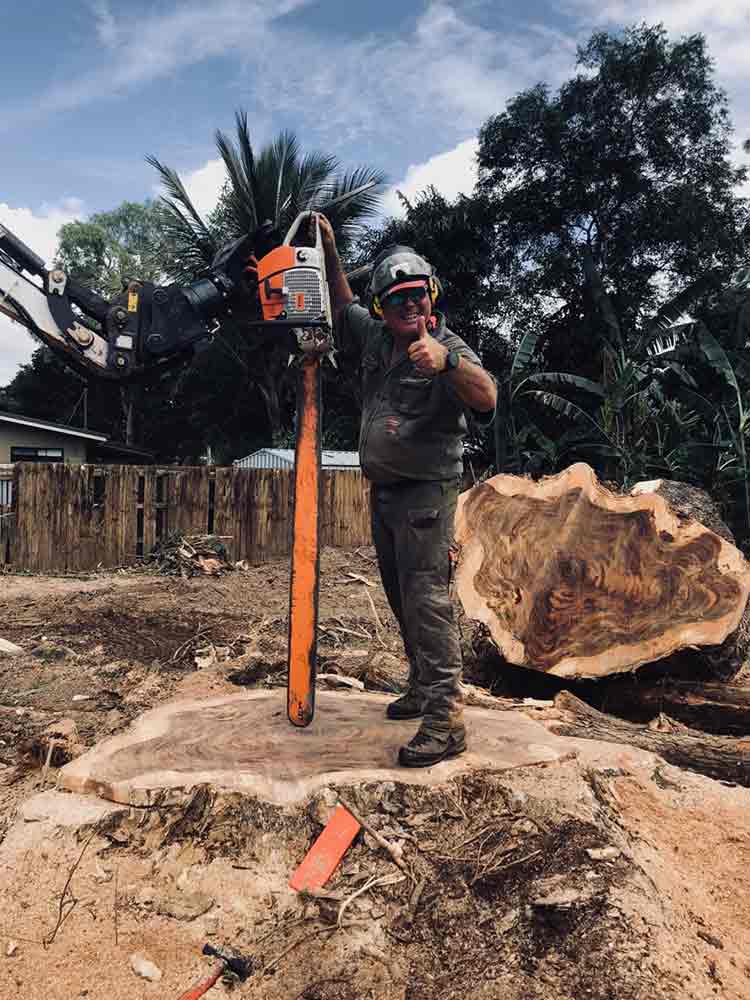 Man with Chainsaw — Tree Removal in Yorkeys Knob, QLD