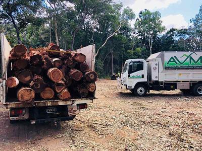 Tree Trunks on Truck — Tree Removal in Yorkeys Knob, QLD