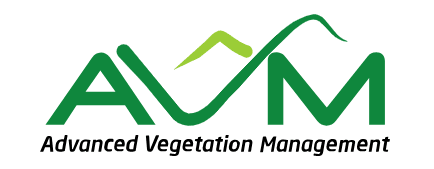 Tree Removal Service Cairns | Advanced Vegetation Management