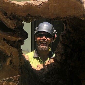 Man Behind Bark — Tree Removal in Yorkeys Knob, QLD